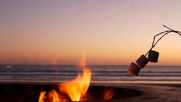 Campfire Pit in California USA