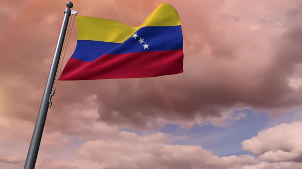 Venezuela Flag 4K