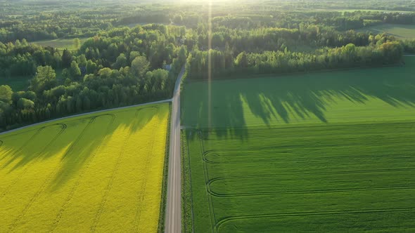 The Aerial View of the Agriculture Field in Estonia
