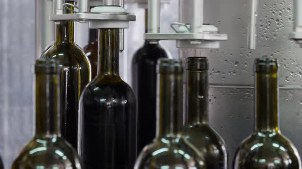 Close-up of green glass bottles being lifted by machinery and filled with red wine in a wine product