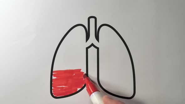 The Lungs Being Filled with the Red Color Pen
