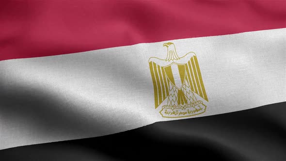 Egypt Flag Seamless Closeup Waving Animation