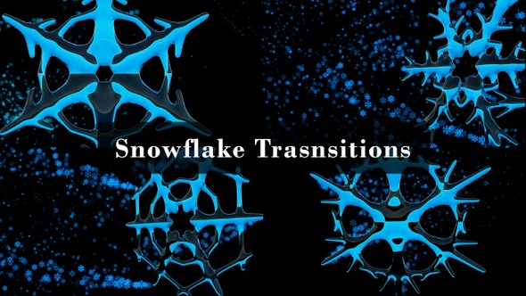 Snowflake Transitions - 4 in 1