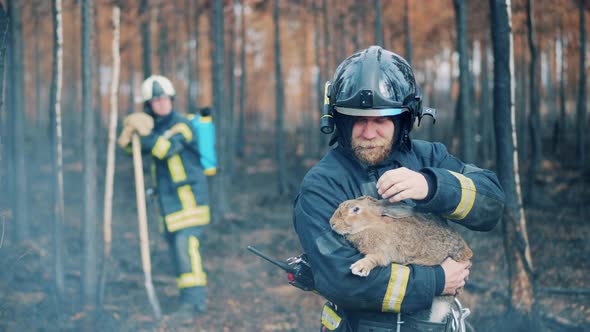 Woodland Fire Zone with Firefighters and a Rescued Rabbit