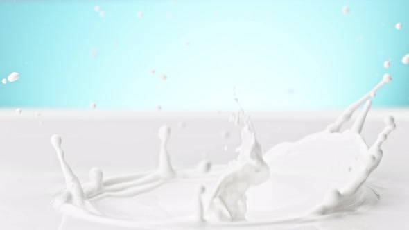 Super Slow Motion Detail Shot of Fresh Milk Crown on Blue Gradient Background at 1000 Fps