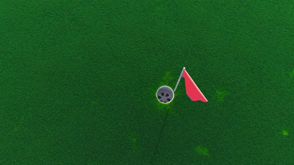 a Golf Ball Rolls Across the Course Into a Hole Top View