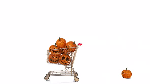 Halloween Shopping