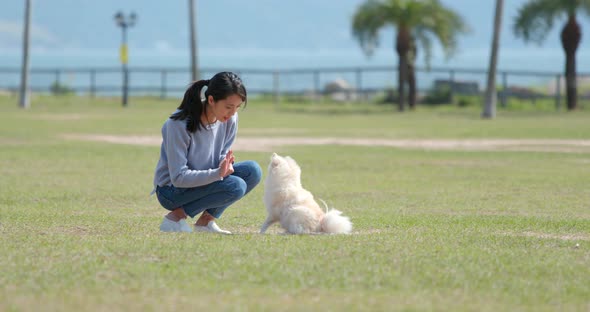 Young Woman training with her dog at outdoor park