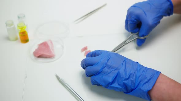 Medical Scientist Specialist in Medical Uniform Cutting Pieces of Meat Food Research in Modern