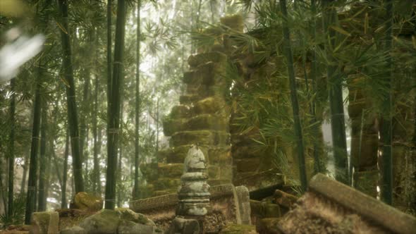 The Ruins of Ancient Buildings in Green Bamboo Forest