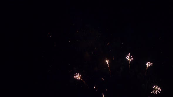 Colorful Firework display at night on sky background