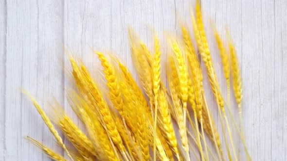 Detail Shot of Wheat Spikelets on Table