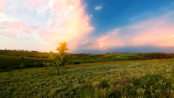 green field spring and cloudy sky