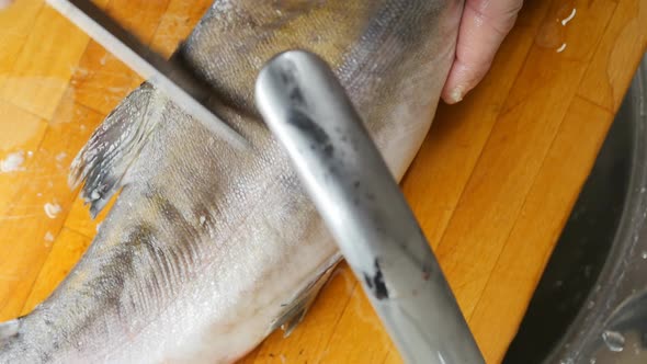 the Chef Peels the Scales on the Fish on the Board in the Sink with a Knife