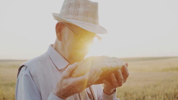 Portrait of Senior Man Kisses a Loaf of Bread and Rejoices at Sun Beams in Field