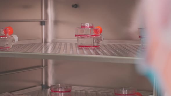 Covid Vaccine Samples in the Round Containers