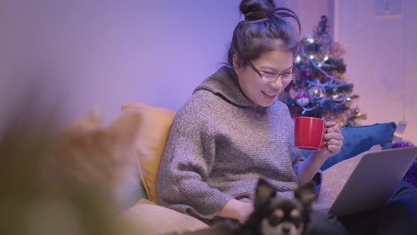 working at home asian female woman working with hand use laptop while cuddle play with lap dog