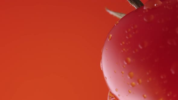 Ripe Tomato in Drops of Water on a Red Studio Background