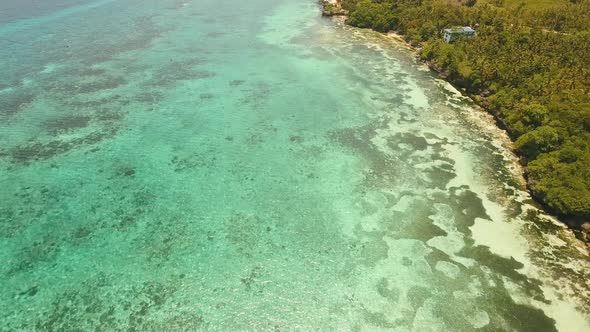 Tropical Beach and Turquoise Sea Philippines,Bohol