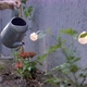 Watering a Flowers in a Garden - VideoHive Item for Sale