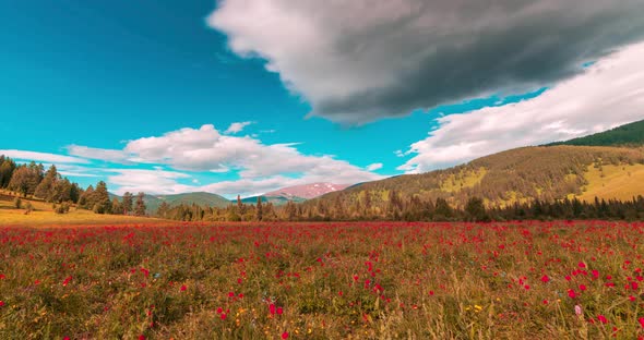 Mountain Meadow Timelapse at the Summer or Autumn Time