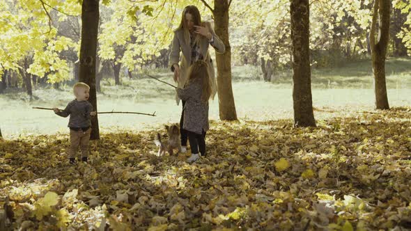 Happy Mother and Her Little Daughter and Son Playing with Dog in Park