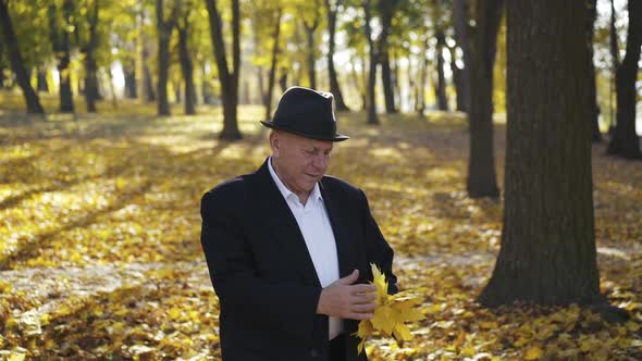 Elegant Senior Dressed in a Suit and Hat Corrects Maple Leaves' Bouquet in Park