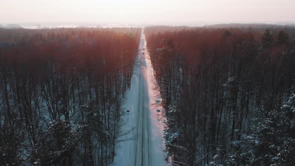 Winter Morning Over the Road Between Tall Leafless Trees