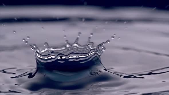 A Drop Drips Onto The Surface Of The Water