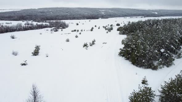 Snow  Covered Fields