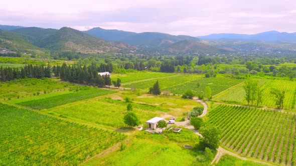 Drone view over large wine farm in Georgia