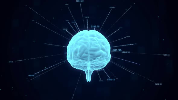 Human brain with data number analysis computation