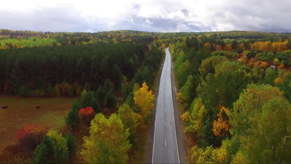 Aerial View of a Highway in an Autumnal Forest From a Drone