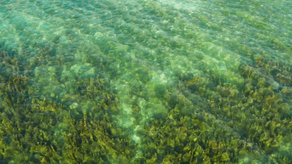 Tropical Landscape with Blue Sea and Coral Reef