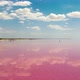 Aerial View Of Lemurian Lake Or The Dead Sea With Pink Plankton Colour - VideoHive Item for Sale