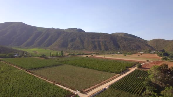 Aerial travel drone view of farms and farming.