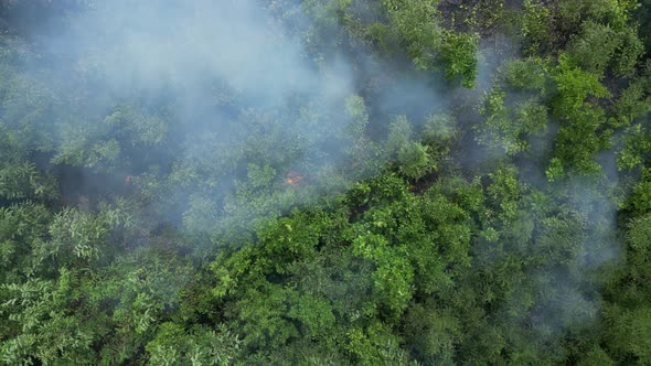 Bush Fire from Above 10