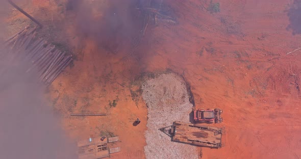 During the Uprooting Trees and Deforestation a Tractor is Working the Process to Prepare on Cleaning