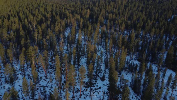 Flying Reverse to Reveal Cascade Mountains over Deschutes National Forest in Oregon - Mount Bachelor