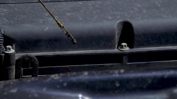 Man Checks the Car Oil Level with a Dipstick