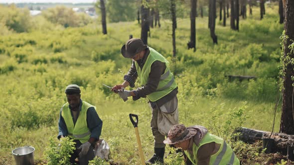 Man Managing Reforestation