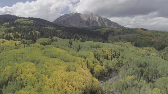 Fall foliage by Crested Butte, CO