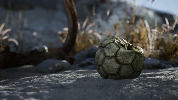 An Old Torn Soccer Ball Thrown Lies on Sand of Sea Beach alt