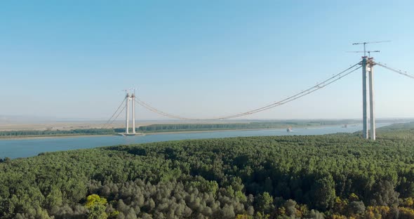 Dense Trees In Forest With Braila Bridge Under Construction