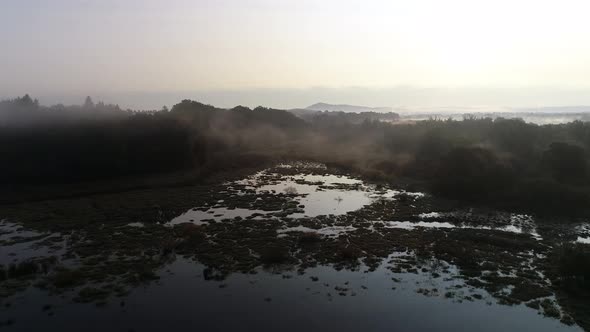 Aerial View of a Lake with Aquatic Plants at Sunrise 4K