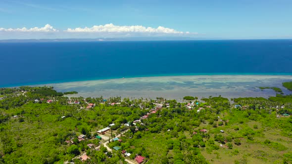 Sandy Beach and Tropical Sea