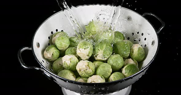 Water falling on Brussels Sprouts, brassica oleracea, against Black Background, Slow Motion 4K