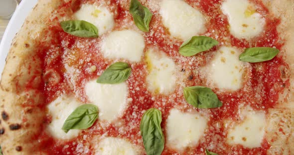 Italian Cuisine Neapolitan Margherita Pizza with Ingredients Pizza Margherita