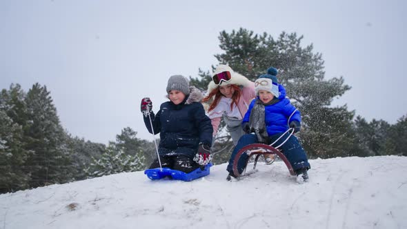 Active Winter Holidays Mother with Children Have Fun Sledding Down the Hill in Forest Young Woman