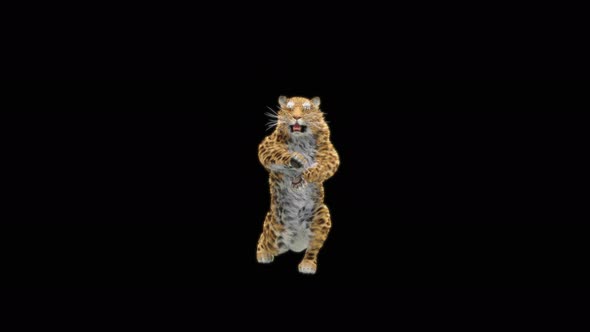 76 Leopard Standing Magic Attack 4K